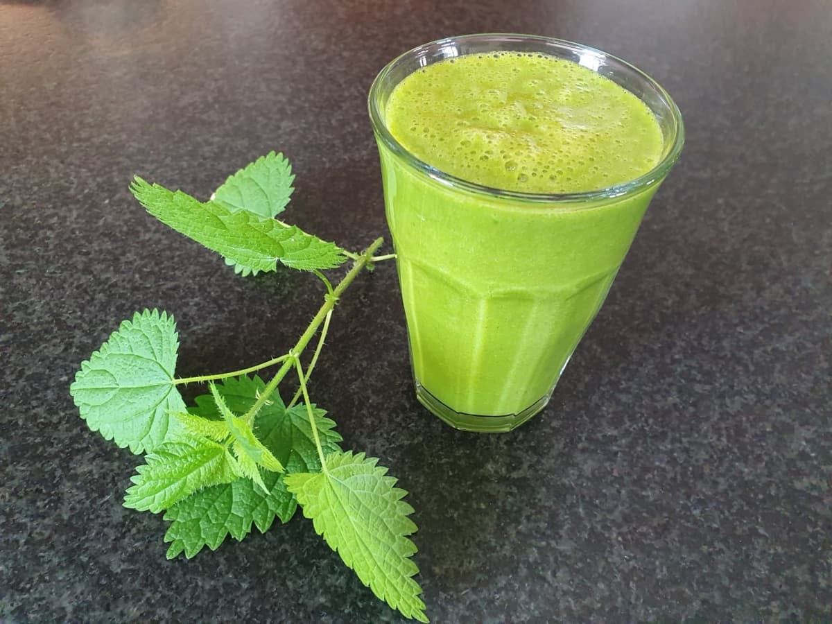 Brennnessel-Smoothie — Wildkräuter-Rezept aus dem Workshop