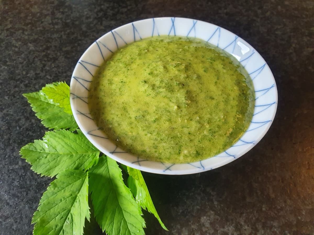 Giersch-Pesto — Wildkräuter-Rezept aus dem Workshop